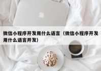 微信小程序開發(fā)用什么語言（微信小程序開發(fā)用什么語言開發(fā)）