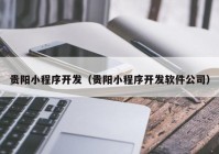 貴陽小程序開發(fā)（貴陽小程序開發(fā)軟件公司）