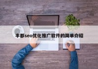 豐都seo優(yōu)化推廣軟件的簡(jiǎn)單介紹