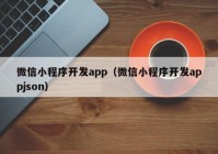 微信小程序開發(fā)app（微信小程序開發(fā)appjson）