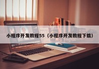 小程序開發(fā)教程55（小程序開發(fā)教程下載）