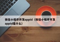 微信小程序開發(fā)appid（微信小程序開發(fā)appid是什么）