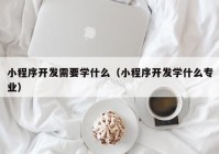 小程序開發(fā)需要學(xué)什么（小程序開發(fā)學(xué)什么專業(yè)）