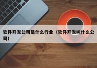 軟件開(kāi)發(fā)公司是什么行業(yè)（軟件開(kāi)發(fā)叫什么公司）