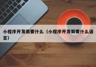 小程序開發(fā)需要什么（小程序開發(fā)需要什么語言）