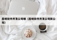 昆明軟件開發(fā)公司哪（昆明軟件開發(fā)公司新公司）