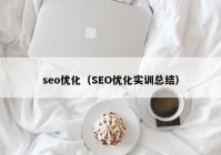 seo優(yōu)化（SEO優(yōu)化實訓總結(jié)）