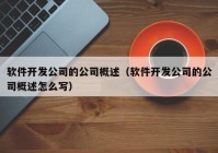 軟件開發(fā)公司的公司概述（軟件開發(fā)公司的公司概述怎么寫）