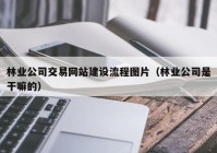 林業(yè)公司交易網(wǎng)站建設(shè)流程圖片（林業(yè)公司是干嘛的）