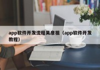 app軟件開發(fā)流程吳彥祖（app軟件開發(fā)教程）