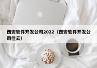 西安軟件開發(fā)公司2022（西安軟件開發(fā)公司佳云）