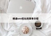 精通seo優(yōu)化的簡單介紹