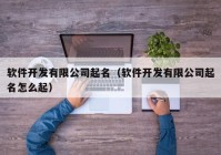 軟件開發(fā)有限公司起名（軟件開發(fā)有限公司起名怎么起）