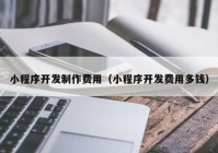 小程序開發(fā)制作費(fèi)用（小程序開發(fā)費(fèi)用多錢）