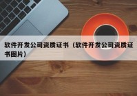 軟件開發(fā)公司資質(zhì)證書（軟件開發(fā)公司資質(zhì)證書圖片）