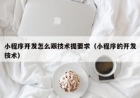 小程序開發(fā)怎么跟技術(shù)提要求（小程序的開發(fā)技術(shù)）