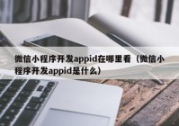 微信小程序開發(fā)appid在哪里看（微信小程序開發(fā)appid是什么）