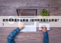 軟件開發(fā)是什么職業(yè)（軟件開發(fā)是什么職業(yè)?）