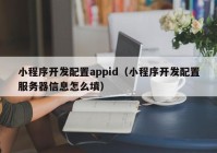 小程序開發(fā)配置appid（小程序開發(fā)配置服務(wù)器信息怎么填）