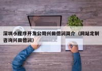 深圳小程序開發(fā)公司興田德潤簡介（網(wǎng)站定制咨詢興田德潤）