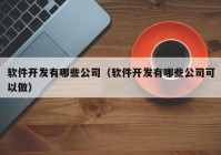 軟件開發(fā)有哪些公司（軟件開發(fā)有哪些公司可以做）