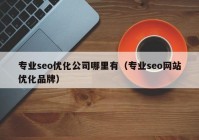 專業(yè)seo優(yōu)化公司哪里有（專業(yè)seo網(wǎng)站優(yōu)化品牌）