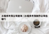 小程序開發(fā)公司查詢（小程序開發(fā)制作公司在哪?）