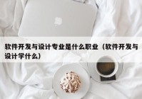 軟件開發(fā)與設(shè)計專業(yè)是什么職業(yè)（軟件開發(fā)與設(shè)計學(xué)什么）